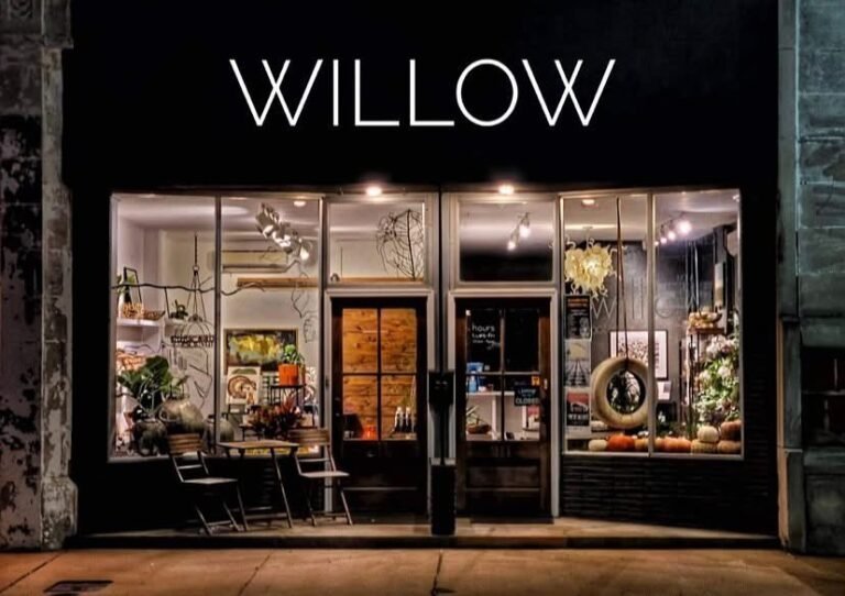 Local Business Spotlight: Discover the Artistic Oasis of Willow Botanical + Goods
