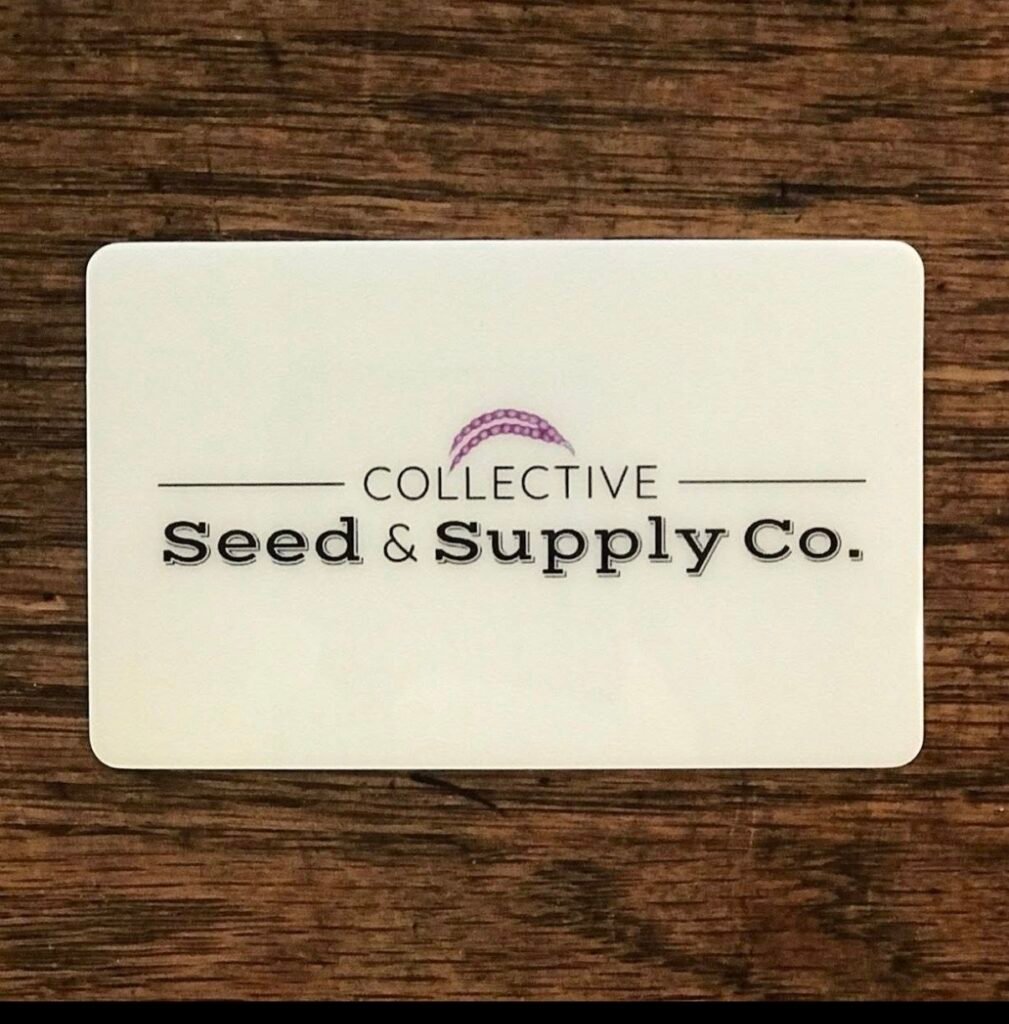 Business Spotlight: Collective Seed & Supply Co. Plants Roots in Downtown Clarksdale